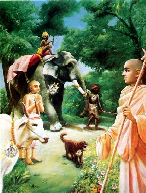 Verdadeiro s�bio v� a Superalma dentro do cora��o de todos os seres vivos